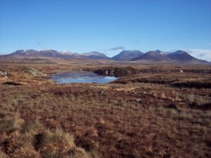 July @ the Connemara National Park @ Connemara National Park