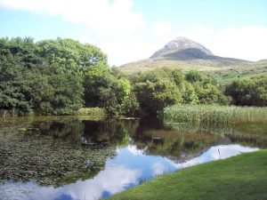 Summer Evening Talks @ the Connemara National Park @ Connemara National Park | Letterfrack | County Galway | Ireland