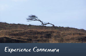 Experience Connemara